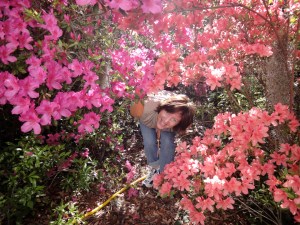 listening to the bee symphony