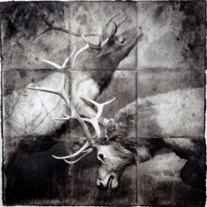 Not your average Xmas reindeer