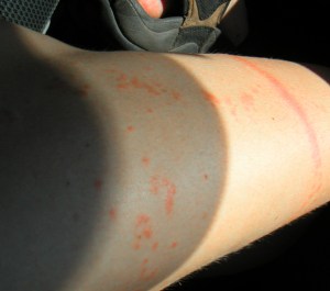 MINOLTA DIGITAL CAMERA