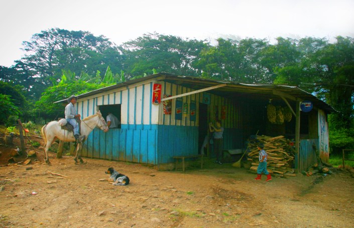 0904a nic trot up window