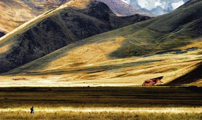 through fields  copy.jpg